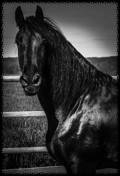 Equibel57