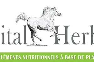 VITAL HERBS